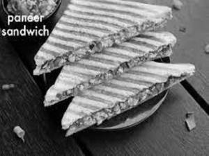 Spl Veg Sandwich Grill