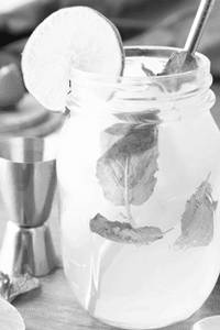 Mint Mojito