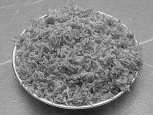 Schezwan Fried Rice