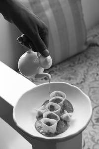 Tortelli & Fennel