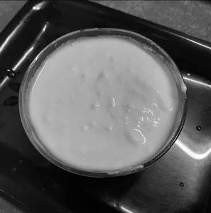 Plain Curd