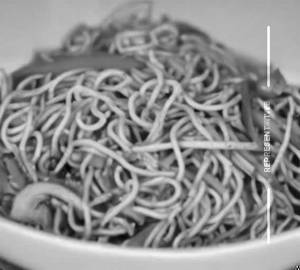 Veg Hakka Noodles