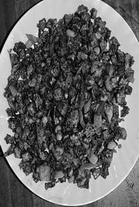 Bendi Fry (vepudu)