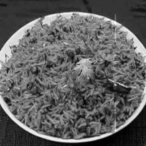 Masala Rice