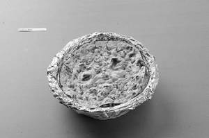 Pudina Roti