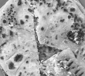 Paneer pyaaz parantha