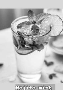 Mojito mint