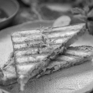 Whole Wheat Grilled Veg Sandwich  ( 1 Plate)