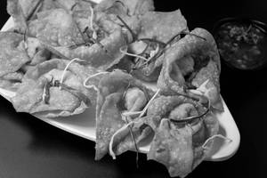 Chicken Wonton Fry Dry