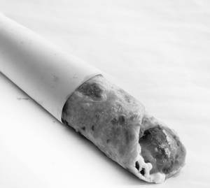 Chicken Roll             