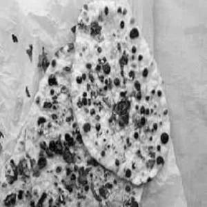 Plain Garlic Naan
