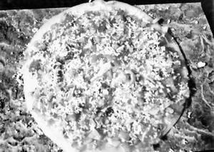 Cheese Corn Uttapam