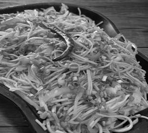 Veg Noodles