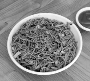 Hakka Noodles