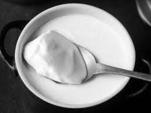 Plain Curd