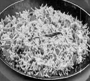 Paneer fried rice