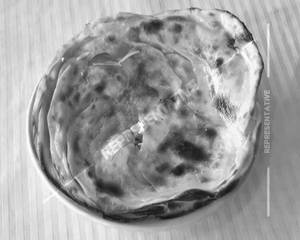 Tawa Butter Paratha