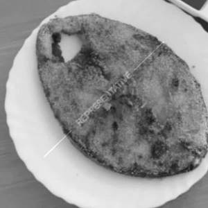 Surmai Fry