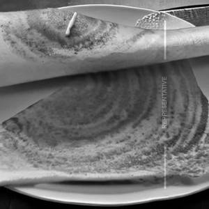 Cheese Chilli Dosa