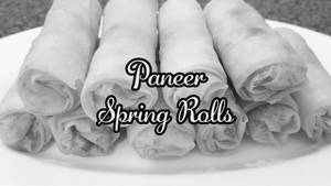 Paneer 65 Spring Roll