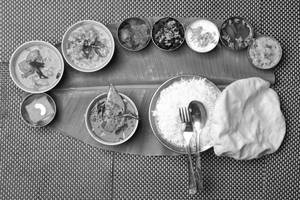Non- Veg Meals
