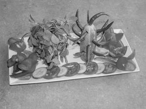 Afghani Salad