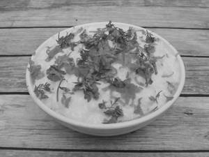 Curd Rice