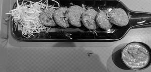 Vegetables Shami Kebab