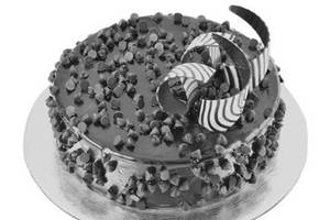 Choco Chips Cake (450 Gms)