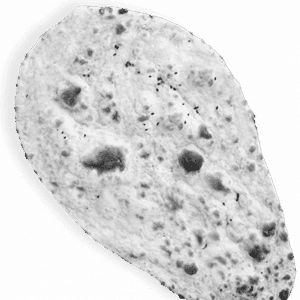 Naan