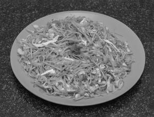 Veg Chow ( H)