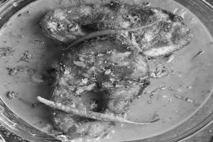 Fish Amritsari [fry] [8 Pieces]