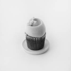 Earth Day Cupcake - Pack of Two