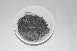 Masala Vagetable Idli [360 Grams]