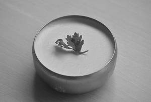 Curd