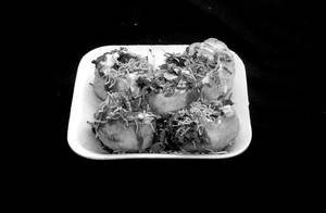 Dahi Puri