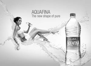 Water Bottle 1litre Bisleri