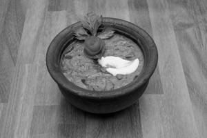 Chicken Tawa