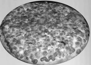 Cheese & Corn Pizza