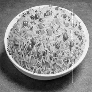 Kaju Fried Rice