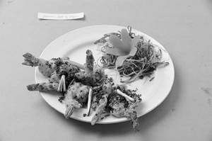 Prawn Salt & Pepper