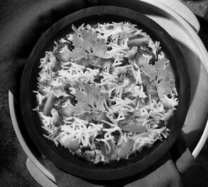 Veg Biryani