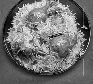 Kolkata chicken biryani