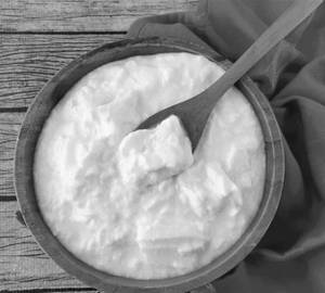 Plain Dahi