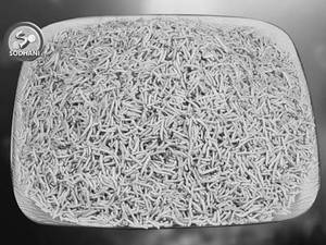 Ratlami Sev
