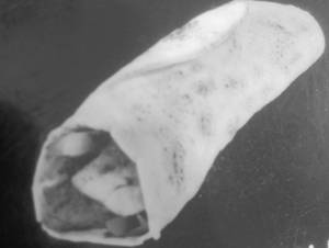 Grilled Chicken Tandoori Wrap 