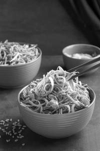 Veg Hakka Noodles
