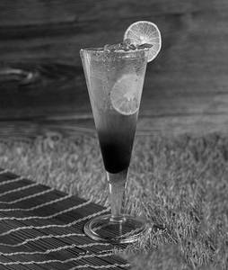 Blueberry Mojito