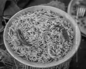 Schezwan fried rice