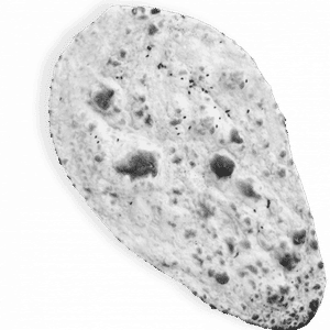 Plain Naan